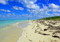 Small paradise island/sandbar in Bahamas